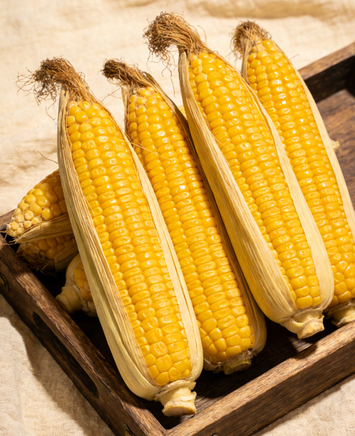 玉米